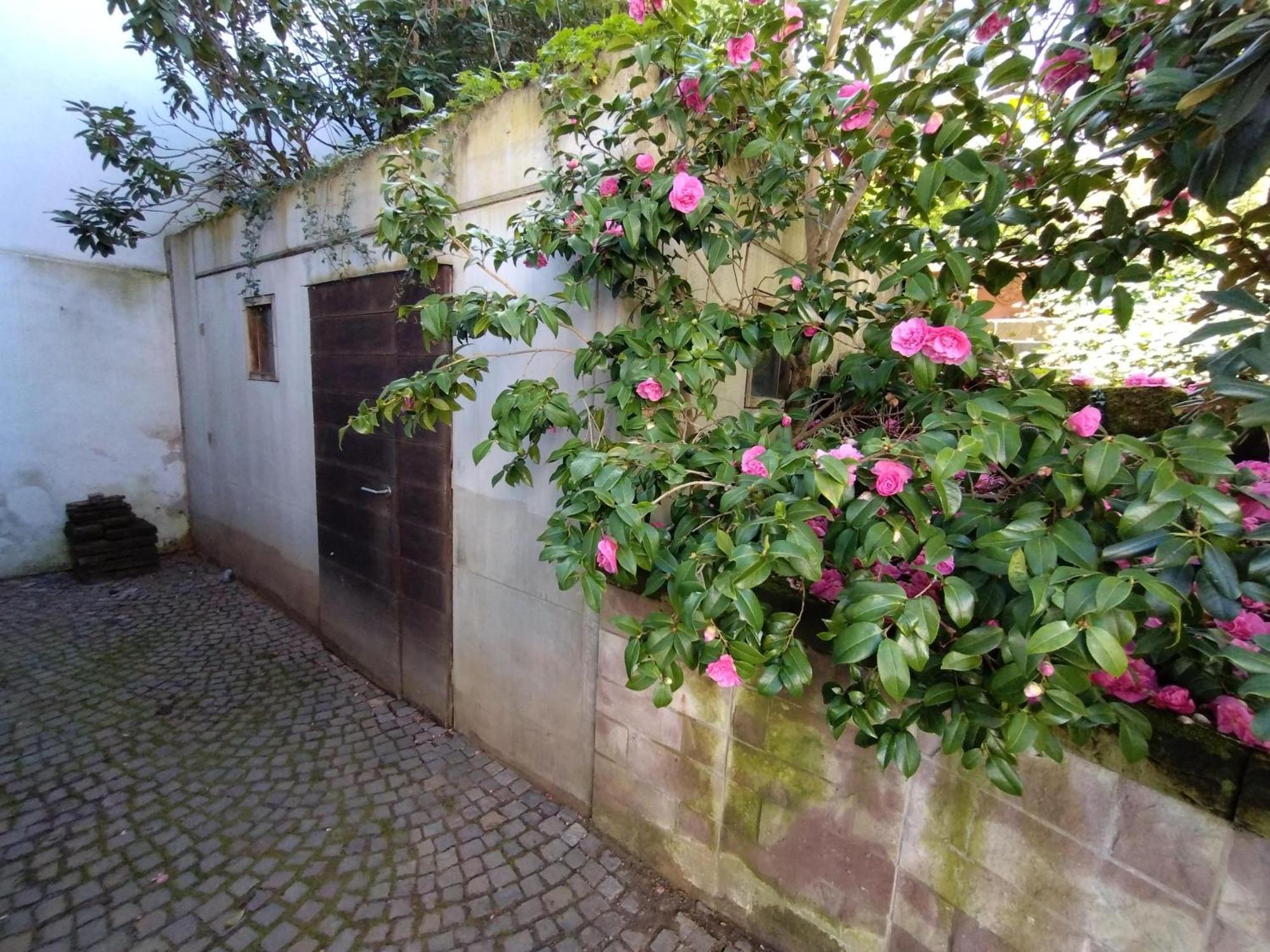 Historisches Haus Am Triller Hébergement de vacances